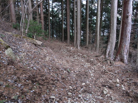 20160121hike (358)